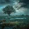 Lista de reproducción de meditación、Sonidos de lluvia y ruido de fondo、Realidad Binaural - Quietud A Través Del Trueno