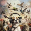 Pet Music、Anaamaly、Natural Sound Makers - Harmony Pets Sleep