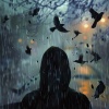 Study Time、Big Ordo、Scandinavian Birds - Focus Feathered Skies