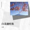 紫琪 - 后来