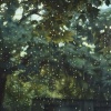 Power and Energy、Rain for Sleeping、Afternoon Chill Out Playlist - Rain's Soft Melodies Bring Peaceful Sleep