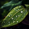Technical Sleep、Rain ZPE、Ambient Tech - Gentle Rain Soothes Sleep's Arrival