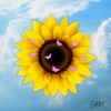 Sam Scott - My Beautiful Angel