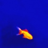 Harry Nach、Soto Asa - JET (Explicit)