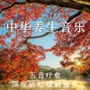 疗愈音律 - 中华养生音乐
