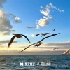 M.R.Y麦尔彦 - 太空漫步迷幻系列V1