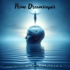 Sleeping Music Zone - Dreamland Serenity