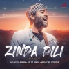 Salim-Sulaiman、Arijit Singh、Niranjan Iyengar《Zinda Dili (Acoustic)》[MP3/LRC]