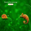 John Taylor - Rainle Streaming