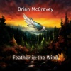 Brian McGravey - How Far?