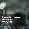 Forest Sounds、Ambient Forest、Rainforest Sounds - Uninhabited Jungle