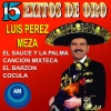 Luis Pérez Meza - Canción Mixteca