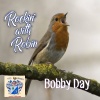 Bobby Day《Rockin' Robin》[MP3/LRC]