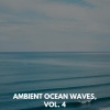 Mr. Austin Nature Hub - Joyful Oceanic Night
