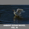 Sofia Yahontova - Waves On Rest
