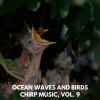 Anastasia Natura Music - A Smooth Ripple Sound
