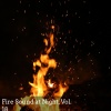 brian wright - Fire Goes High