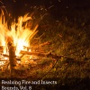 Pamela Grand Nature Collective《Hunting Fire Night》[MP3/LRC]