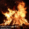 Enlai Chen - Joyful Fire and Birds