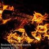 Enlai Chen - Burning Woods Fire Track