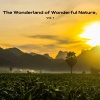 Dr. Louis Mil Nature - Night Stream of Water