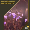 Pamela Grand Nature Collective - Blissful Waterfall