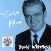 david whitfield - Lady of Madrid
