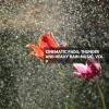 Ronald King - Vintage Vibe with Stormy Rain