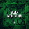 Rain Sounds & Rain For Deep Sleep - Breeze