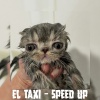 Splice Records - El Taxi (Speed Up) (Remix)