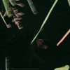 Tonedeaf - nopee (Explicit)