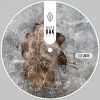 Andrea Pierucci Valerio Grassini - Alchimia