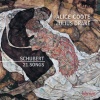 julius drake、Alice Coote - Schubert: An den Mond, D. 259: a. Füllest wieder Busch und Tal