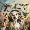 Am Steg、Binaural Beats Noise、Divine Diva - Calming Tunes for Companions