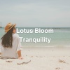 The Sleep Principle、ASMR Sleep Sounds、Insomnia Cure Maestro - Aetherial Veil (Relaxing Ambient Music)
