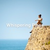 Sleep Sleep Sleep、Relaxing Music For Sleeping、Sleeping Aid Music Lullabies - Luminous Serenity (Relaxing Ambient Music)
