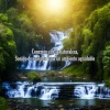 Cascada en el Bosque、Sonidos del Bosque、Sonido Ambiente - Escucha de la naturaleza, Sonido de cascada para un ambiente agradable
