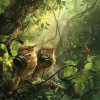 oOcean、Brown Owl Plays、Neon Pearl - Cadence Skyward Birds