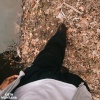 KIETH MONTANA Sped Up、Lofuu、Memo Boy、9smkr、KIETH MONTANA、dprk、moody - SEE YOU LATER (feat. moody, Lofuu, Memo Boy, 9smkr, KIETH MONTANA & dprk)(Sped Up)