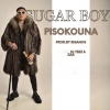 Sugar Boy、Teez - Pisokouna