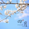 夏宇 - 四月の海