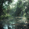 Rainforest Meditations、The 2 Inversions、Rain Mozart《Rain's Gentle Call to Calm》[MP3/LRC]