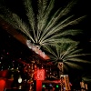 zanzo、XTC7400、aug6st - Island Freestyle (Explicit)