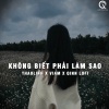 Qinn Media、thaolinh、Viam - Không Biết Phải Làm Sao (Lofi Ver.)