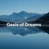 741Hz Energy Orbiting Manifest Healing、Soothing Music Specialists、calm meditation - Harmony Haven: Calm Melodies for Stress Relief (Relaxing Ambient Music)