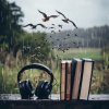 Classical Music For Studying、HD Rain and Water、Binaural Brain Waves《Study Amidst Rain》[MP3/LRC]