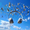 Brainwave Binaural、Bin Studios、Sound Bath《Choir of Feathers》[MP3/LRC]