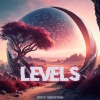 Erick Sebastian - Levels