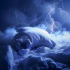 Better Sleep、Rain Noise Sleep、Healing World - Restful Thunder's Chime
