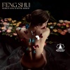 Mindfulness Meditation Music Spa Maestro - Feng Shui (Peaceful Music for Harmony Life)